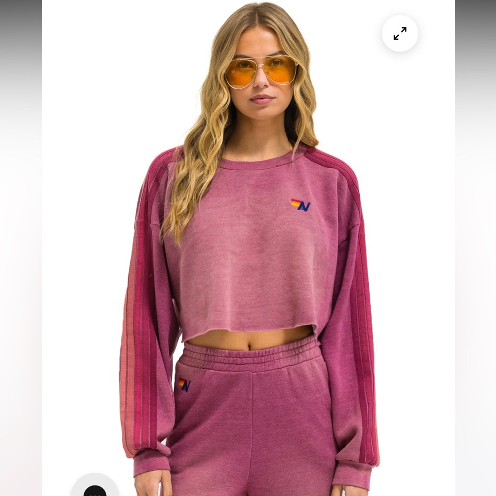 Aviator Nation Purple and Pink Crop Top